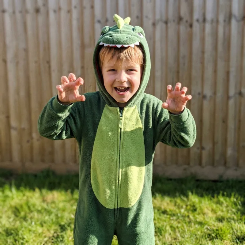 A child in a green dinosaur costume, the photo