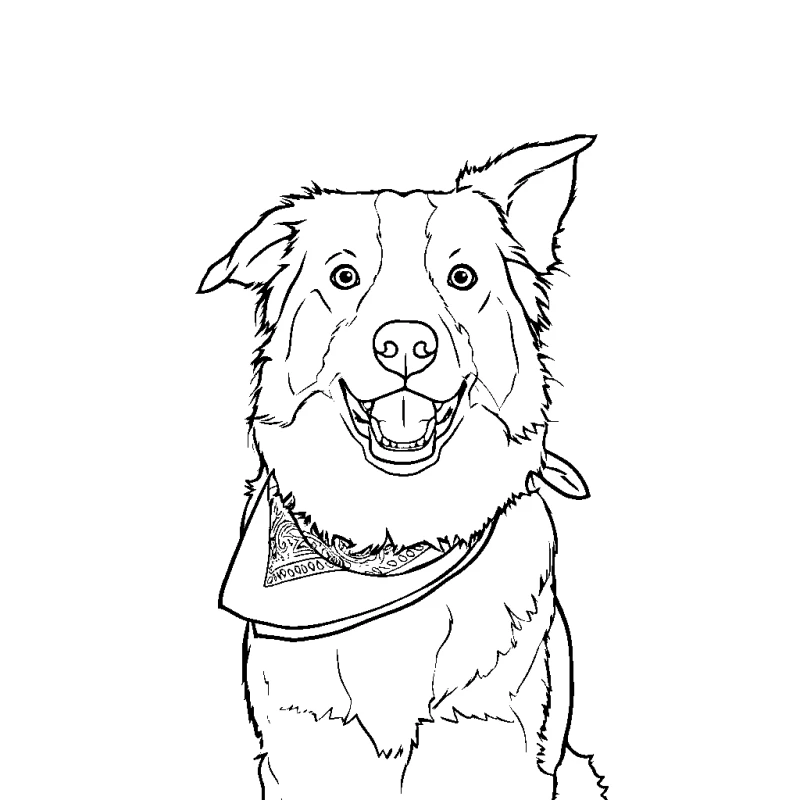A black and white dog in a red bandana, the coloring page